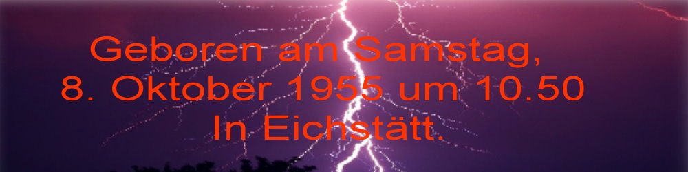 Heinz Vogt Ingolstadt